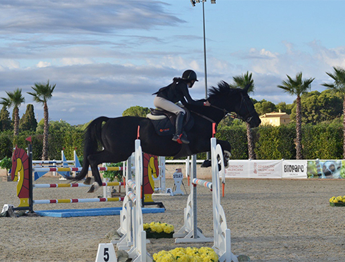 equitacion